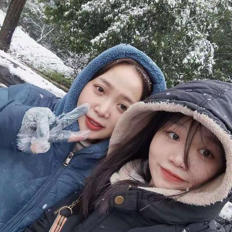 2023年的大雪