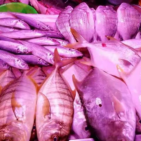 南繁育制种实验室6月29号至7月5号一周工作总结