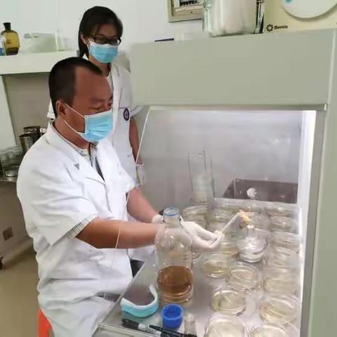 南繁育制种实验室6月22至28号一周工作总结