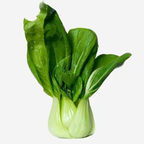 一年级项目式学习