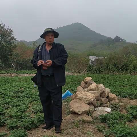 老羊寻访记
