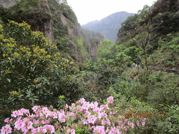 2024年清明节烟雨江南雁荡山之旅