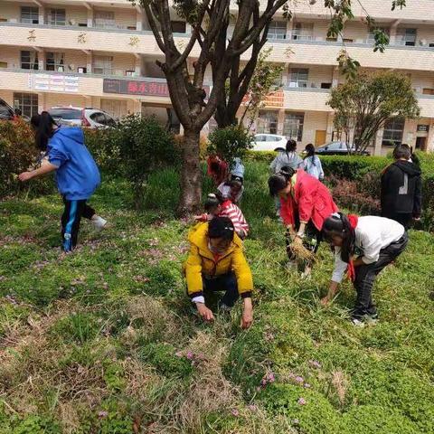 劳动创造快乐——宣威市西宁花椒小学劳动实际活动简报