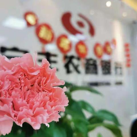 “女神节”🌹的你，拥有“女神节”🌹的礼！【宝丰农商银行宝城支行】致敬最美的你