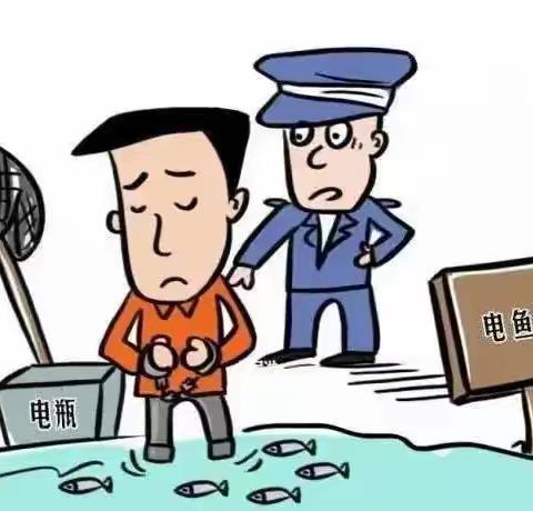 打造“海上枫桥”|涉海涉渔以案释法系列之 无证线内电拖捕捞—“蒲公英”普法志愿者联盟，助您成为“法律明白人”