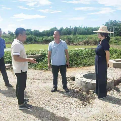 李丽英副区长带队现场核查天涯区乱占耕地图斑和国土卫片图斑情况