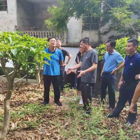 林芳俊同志带队检查包点村过岭村委会乡村振兴、地质灾害点和荔枝岭矿山情况