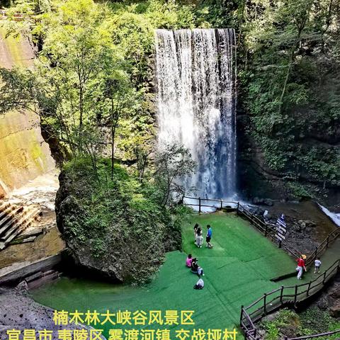 金丝楠木林大峡谷风景