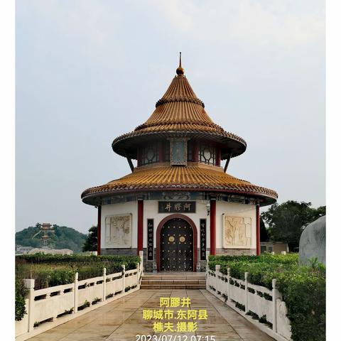游览东阿县.阿膠井