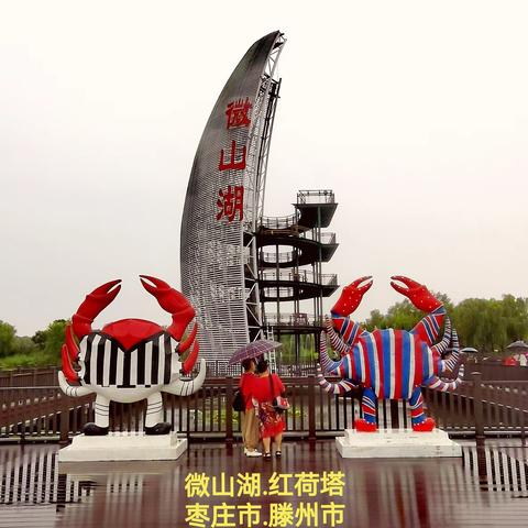 微山湖：红荷湿地风景区