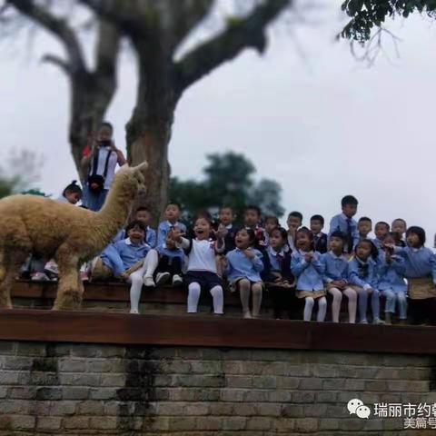 瑞丽约翰幼儿园2023年《春光“筝”好，趣野出游》活动开始了，快来围观吧！！！