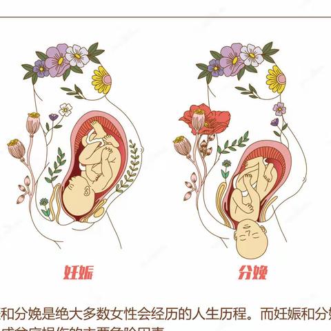 为什么盆底一定要做 这是我见过最好的回答