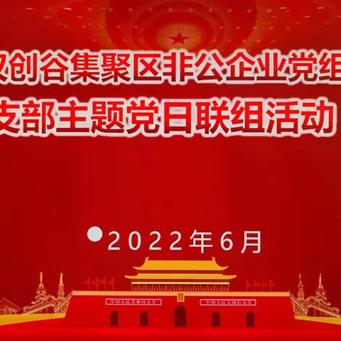 江汉创谷集聚区开展支部主题党日联组活动