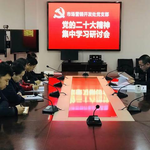 市场营销开发处党支部举行
党的二十大精神专题集中学习研讨会