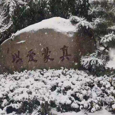 红梅含苞傲冬雪  丹凤虎虎迎元宵——记四年级寒假社团第二期活动