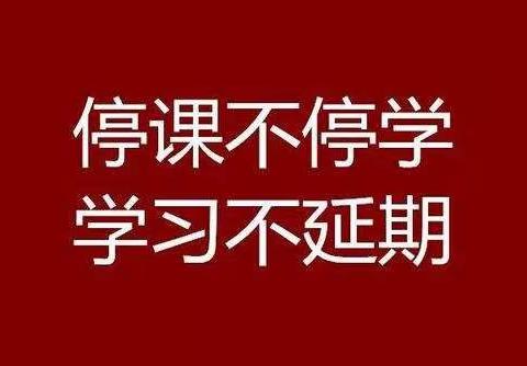 “停课不停学”线上教学开始了！