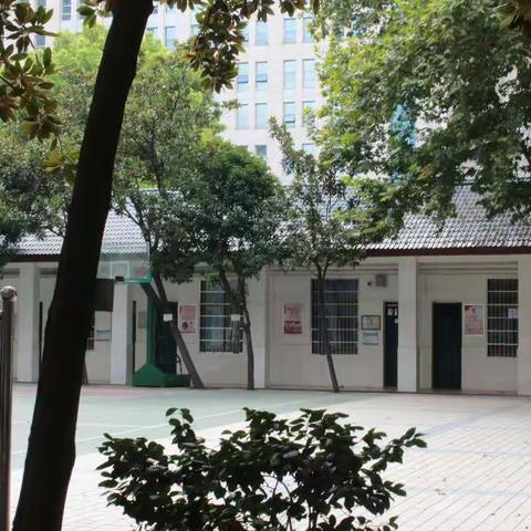 麻园岭小学教师培训大会