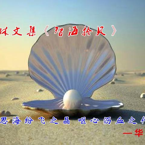 贺德林文集《智海拾贝》问世