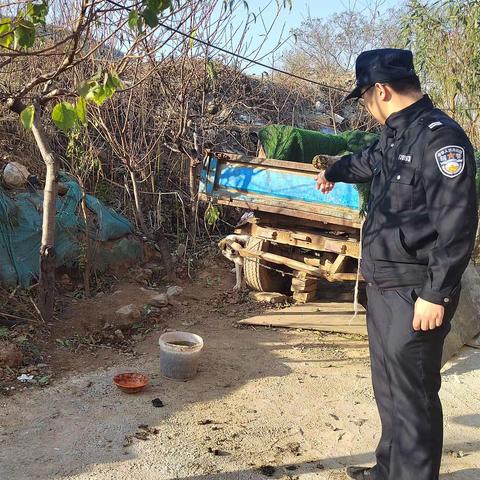 崮山派出所力开展违法养犬集中整治行动