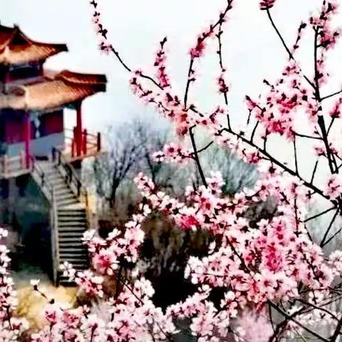 人生要淡定,生活要从容