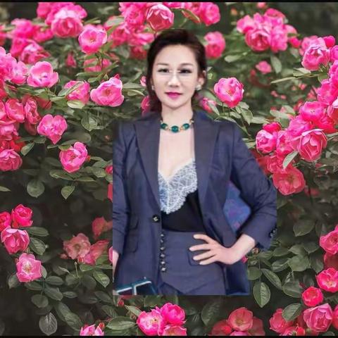 红尘路上，边行走边懂得