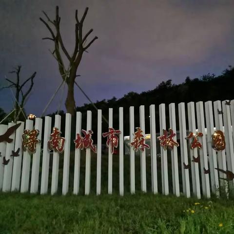 夜游“浔南城市森林公园”留念相册