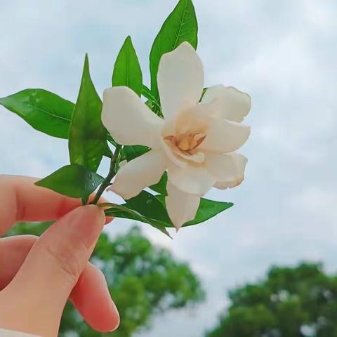 ❤️静待花开·陪伴成长❤️