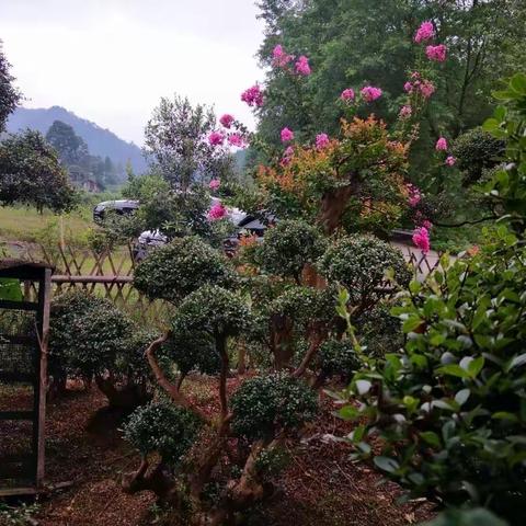 游花岩溪！
