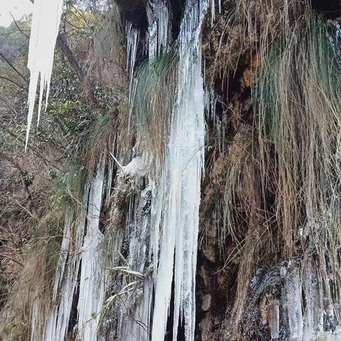 冰的世界一一2021年1月10曰于沱川乡欣赏自然景观