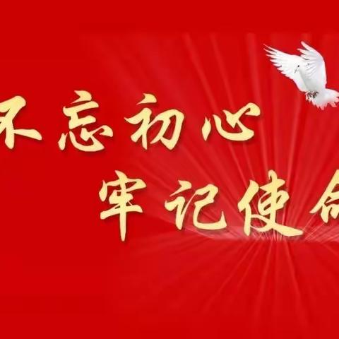 区教育局机关党支部举行11月份主题党日活动