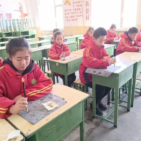 聪子峪小学五年级周报（ 2023年3月13日—3月17日）