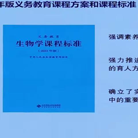 跨学科实践  20230512