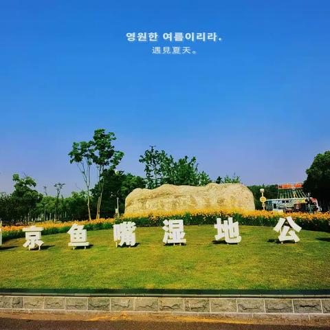 20230514 南京 鱼嘴湿地公园