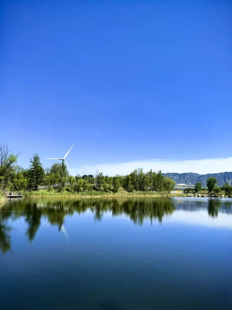 打卡官厅水库国家湿地公园