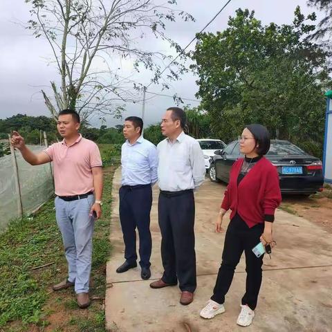 海口市医疗保障局前往文昌市东阁镇大宝园村开展消除农村集体经济“空壳村”帮扶工作