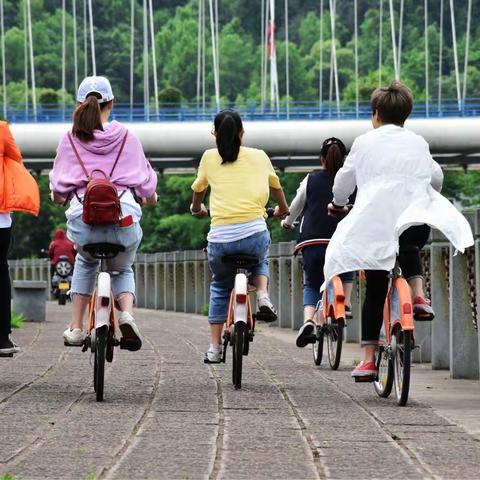 骑上我们的公共自行车带领大家欣赏缙云的美