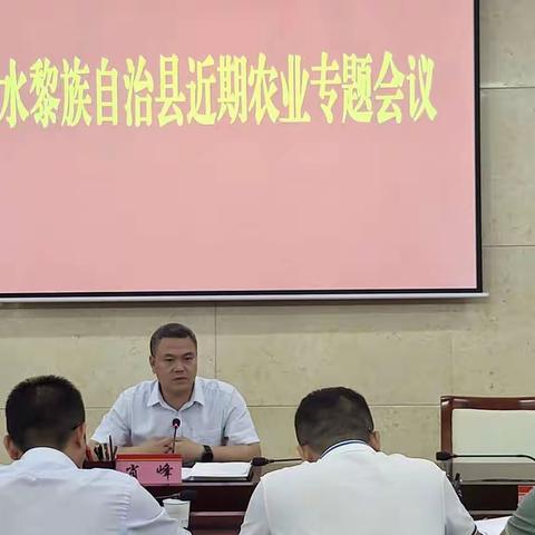 集店镇召开市场主体年报工作业务培训会暨税费业务培训会