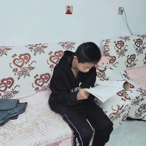 晨读最美  青春当歌——初三4班晨读掠影