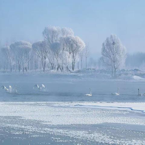 辽宁朝阳：银装素裹的红村“天鹅湾”