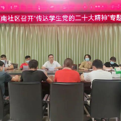 镇南社区召开“传达学生党的二十大精神”专题会