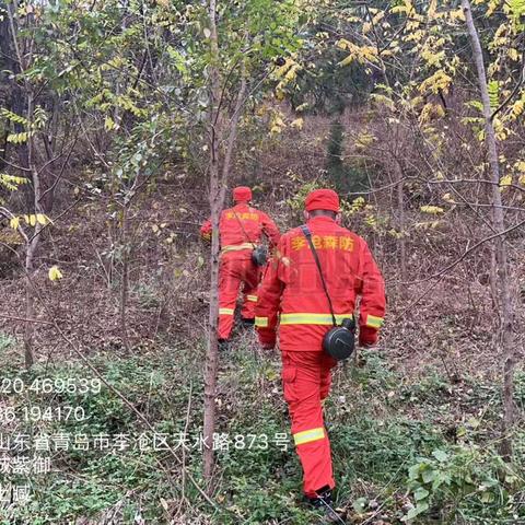 盛太园公司全力做好山林养护、森林防火及护林护鸟工作