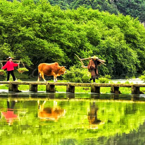 丽水·山水间的诗与远方