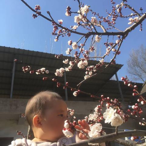 文明之光照征程，志愿活动暖人心——许昌市兴业路小学四年级组