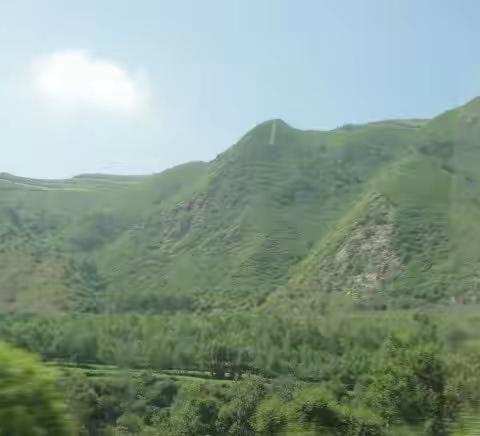 绿色植被 生命之被          ————西行漫记