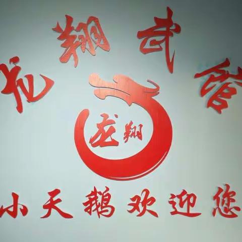 龙翔武馆少林寺夏令营！