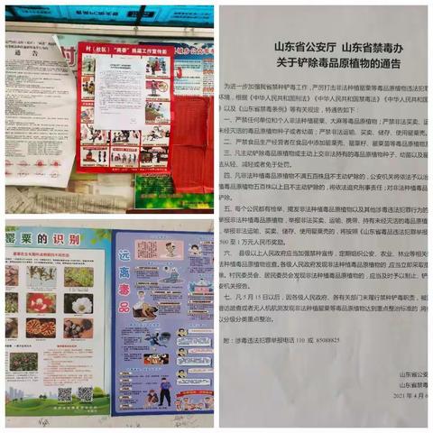 沙河管区本周工作汇总