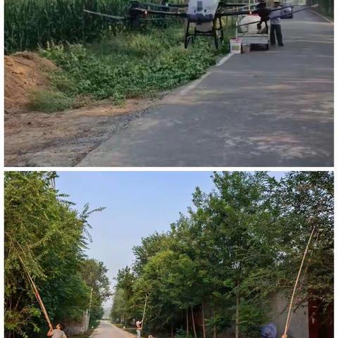 沙河管区本周工作总结