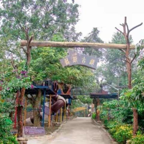 筑梦奋进，快乐成长一一泸州市江阳西路学校六年级5班，桐心院子研学旅活动