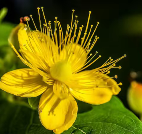 线上教学共分享，经验交流促成长--李晨霞名师工作室线上教研活动