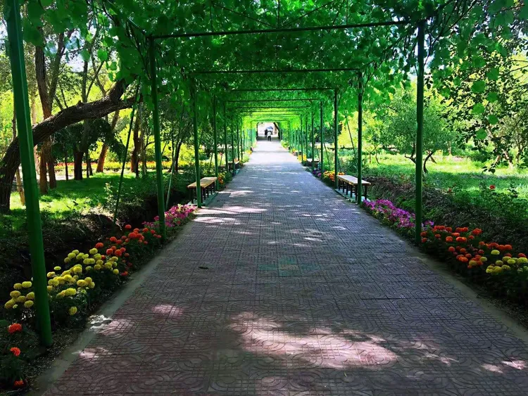 哈密九龙树农庄招聘